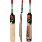 RS Robinson T-20 English Willow Cricket Bat (SH)